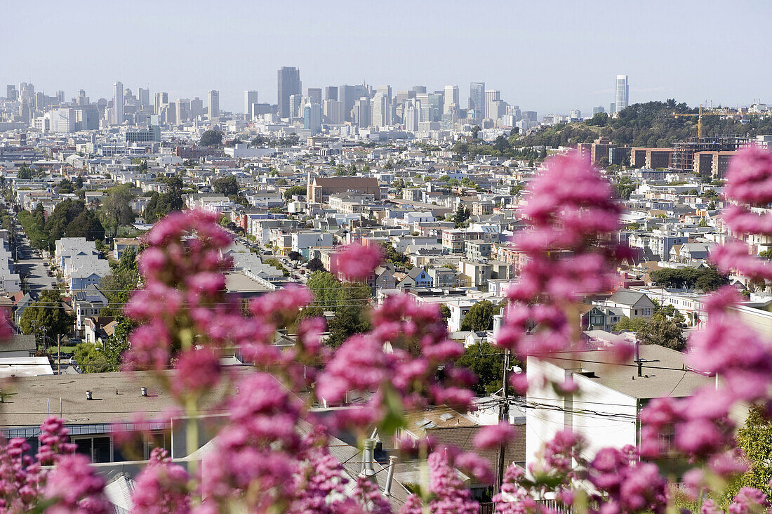 City view, San Francisco, California, USA