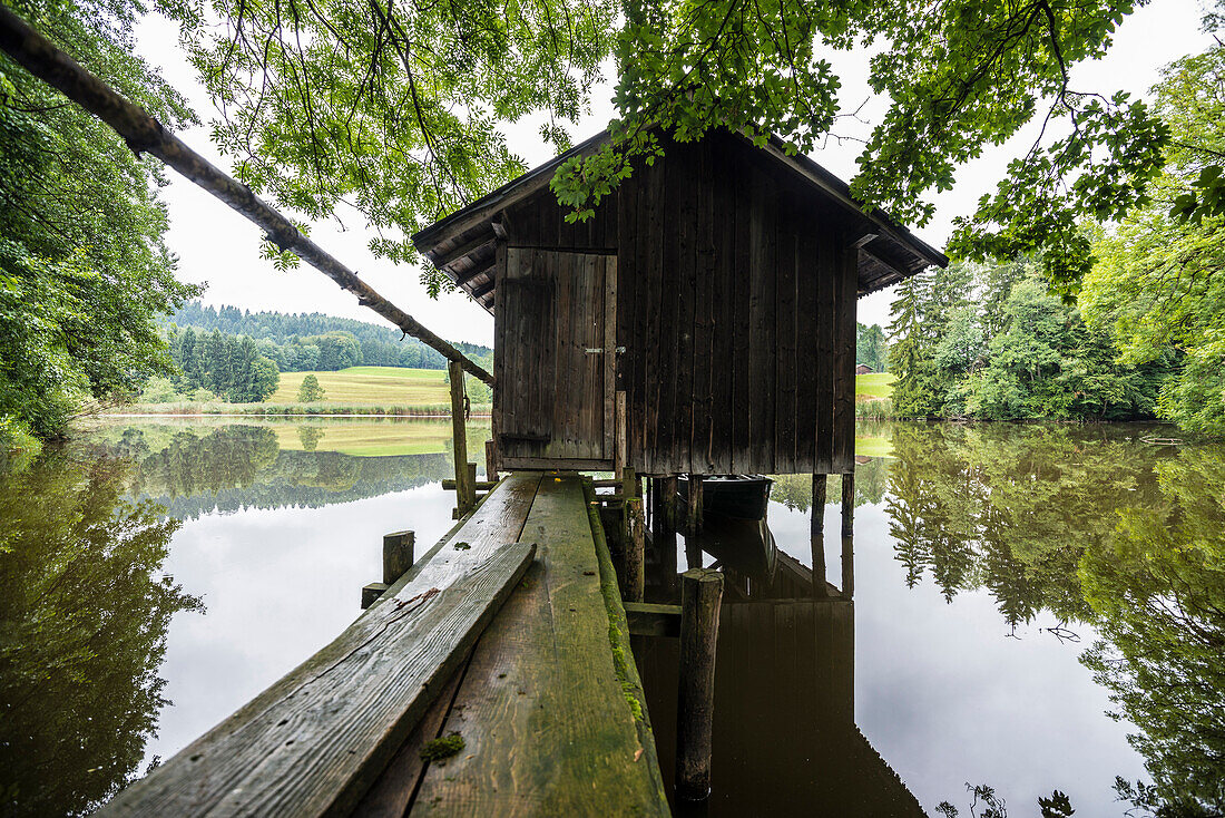 kleiner See und Bootshaus, bei Bad Kohlgrub, Oberbayern, Bayern, Deutschland