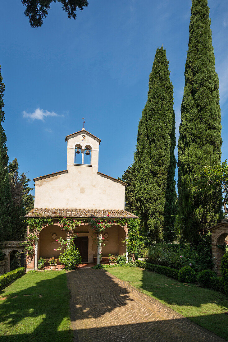 Weingut Argiano, bei Montalcino, Provinz Siena, Toskana, Italien