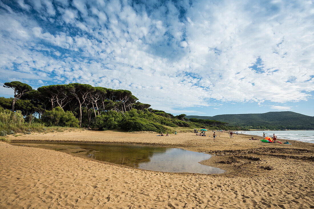 Beach, Populonia, near Piombino, province of Livorno, Tuscany, Italy