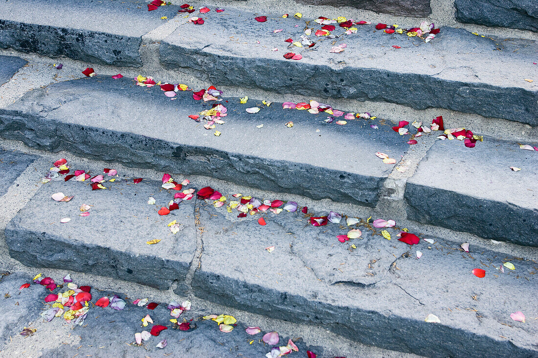 Rosenblätter auf Treppe