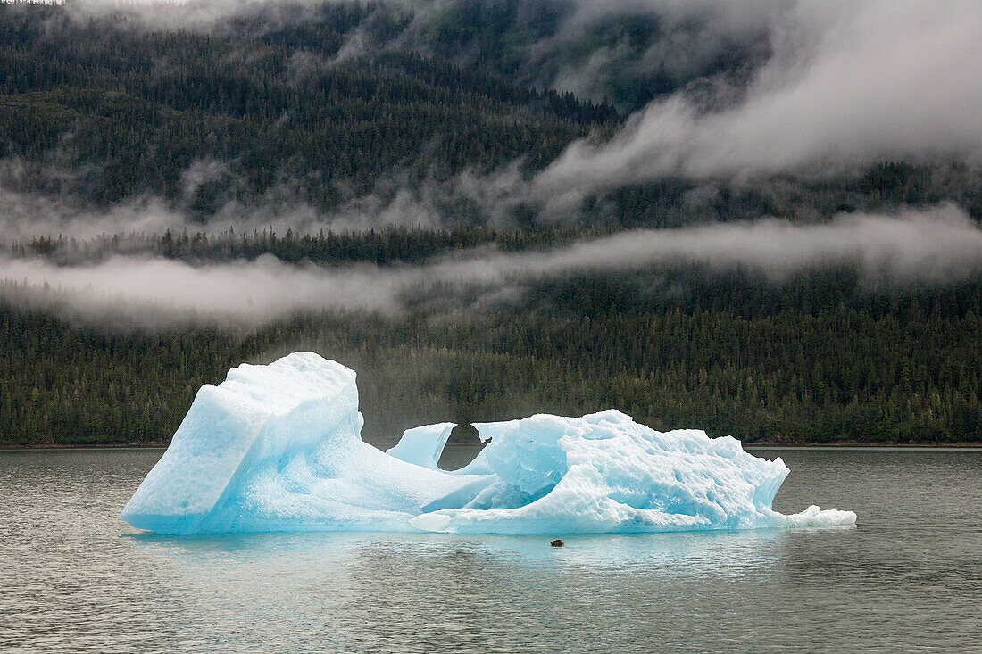 Eisberg im Endicott Arm, Wolkenstimmung, Inside Passage, Südost-Alaska, USA