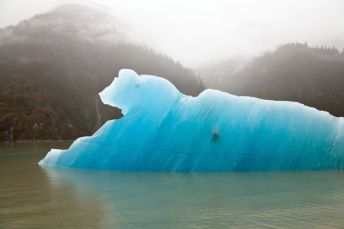 iceberg in Endicott Arm, Inside Passage, Southeast Alaska, USA