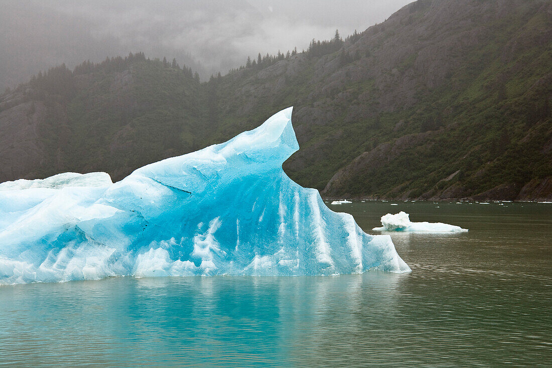 iceberg in Endicott Arm, Inside Passage, Southeast Alaska, USA