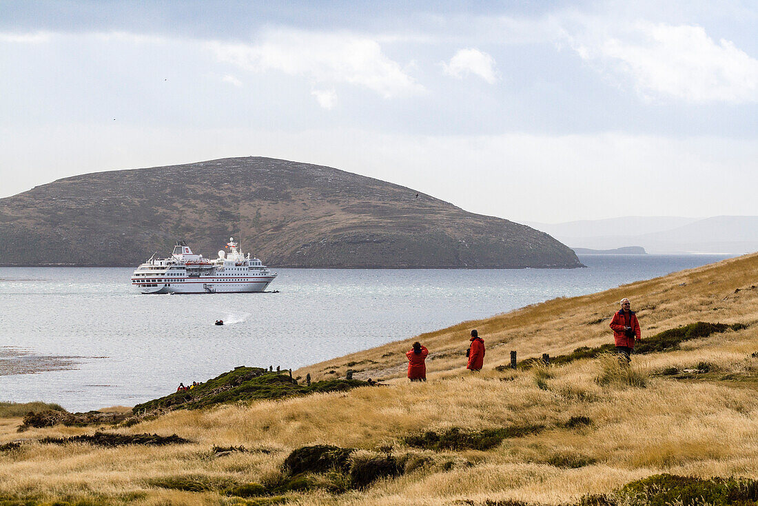 Cruise ship, New Island, West Falklands, Malwinas, South America
