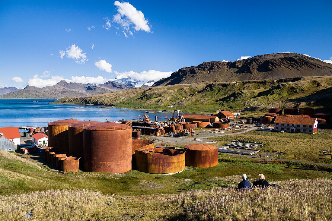 Former whaler station Grytviken, King Edward Cove, South Georgia, South Sandwich Islands, British overseas territory, Subantarctic, Antarctica