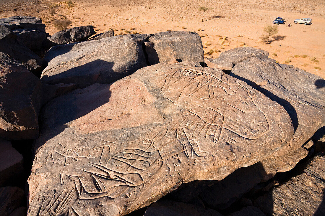 Stone engravings in Stony Desert, Libya, Sahara, North Africa