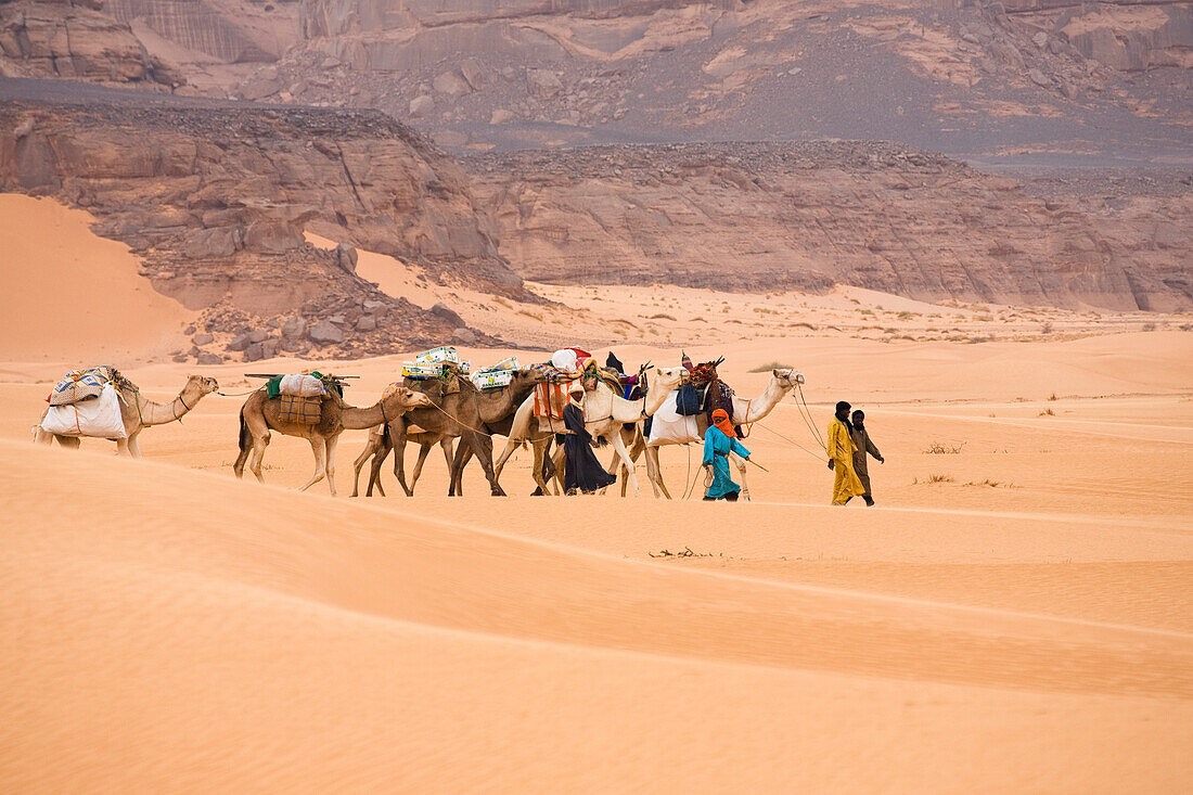 Camel Caravan in the libyan desert, Dromedaries, Camelus dromedarius, Akakus mountains, Libya, Sahara, North Africa