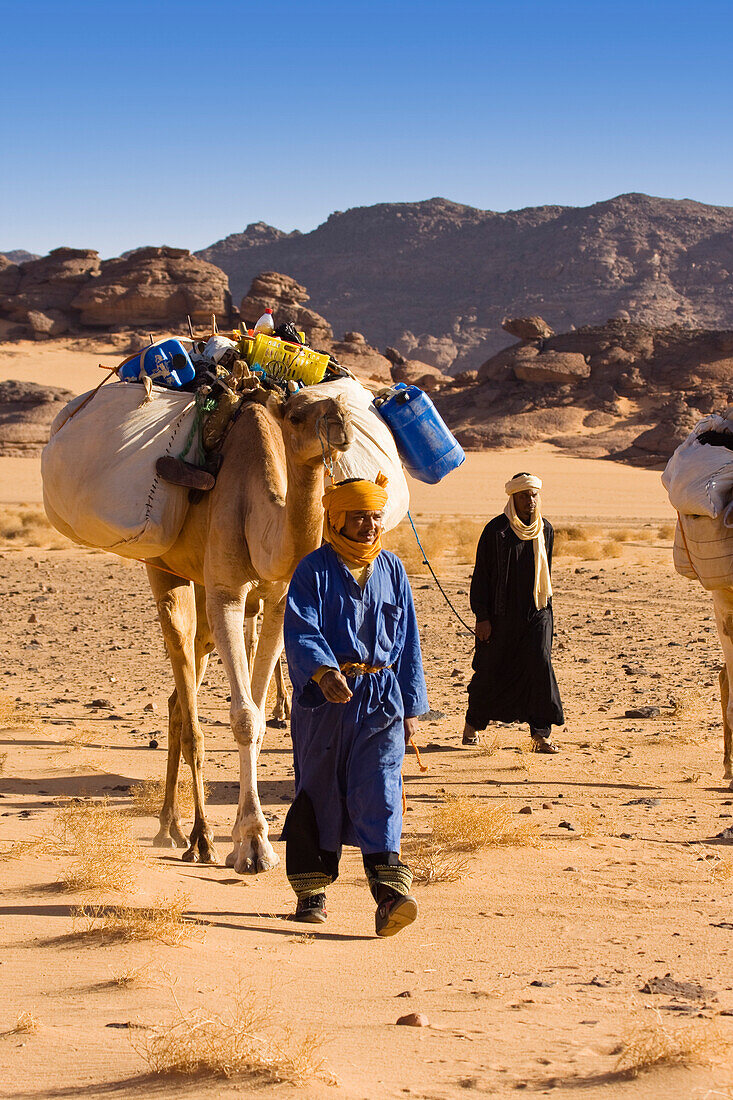 Kamel Karawane in der libyschen Wüste, Dromedare, Camelus dromedarius, Akakus Berge, Libyen, Sahara, Nordafrika