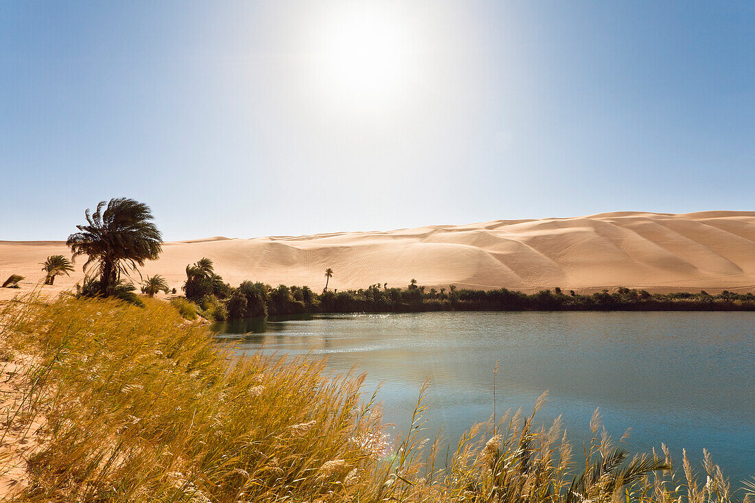 Mandara Lakes in the dunes of Ubari, oasis Um el Ma, libyan desert, Libya, Sahara, North Africa