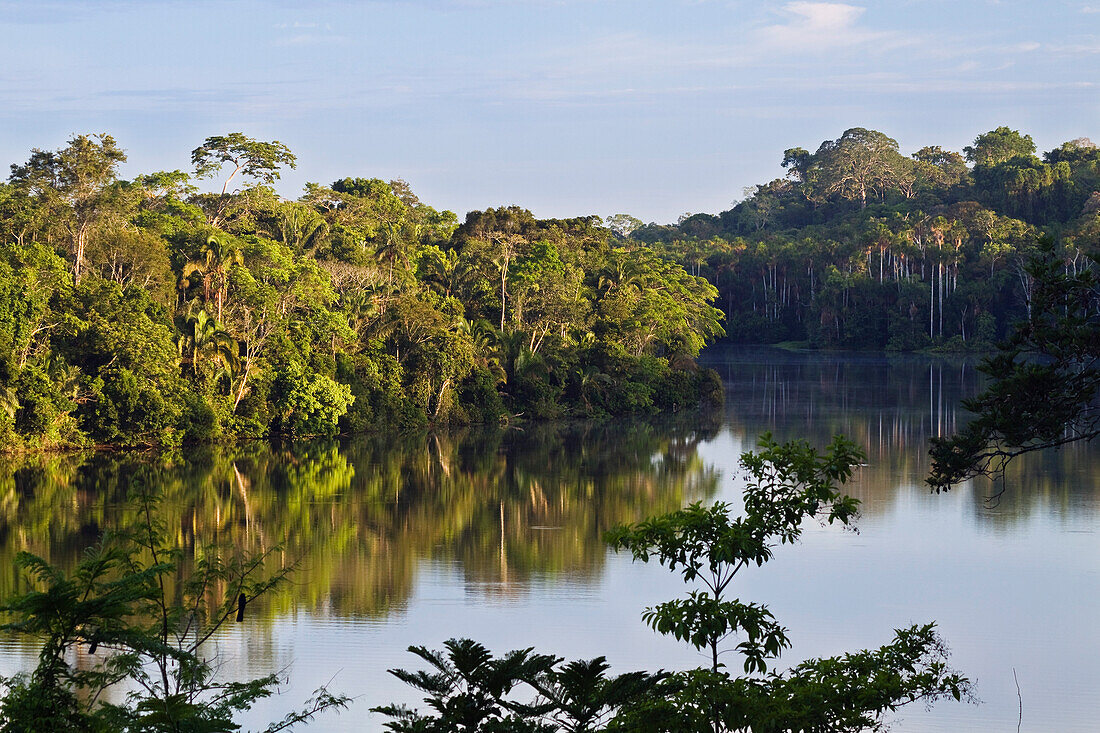 Rainforest at Sandoval Lake, Tambopata National Reserve, Peru, South America