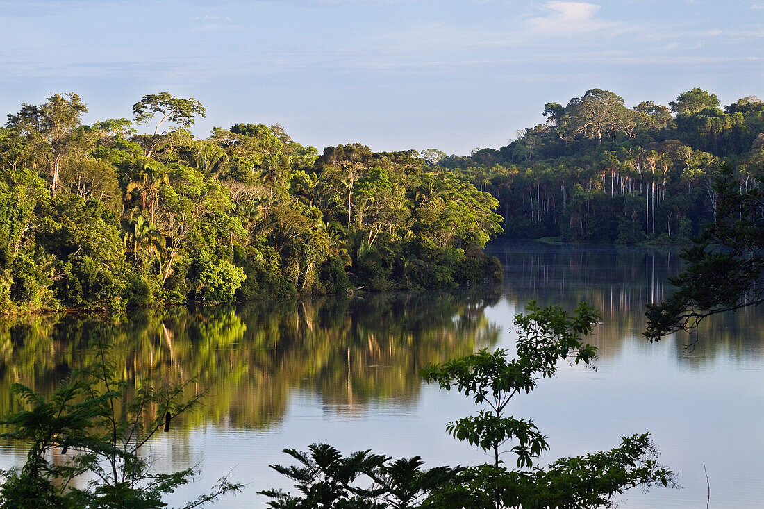 Regenwald am Sandoval Lake, Tambopata Reservat, Peru, Südamerika