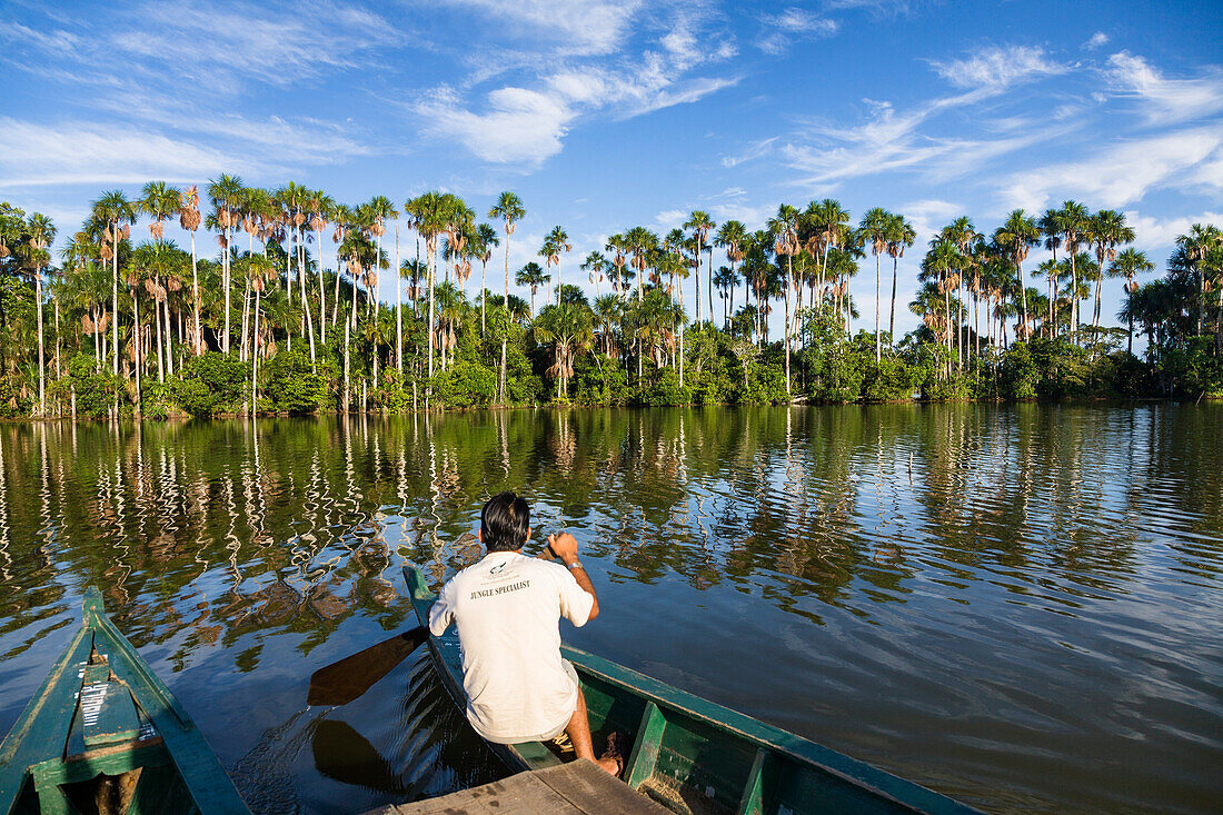 Boot und Buriti Palmen am Sandoval Lake, Mauritia flexuosa, Tambopata Reservat, Peru, Südamerika
