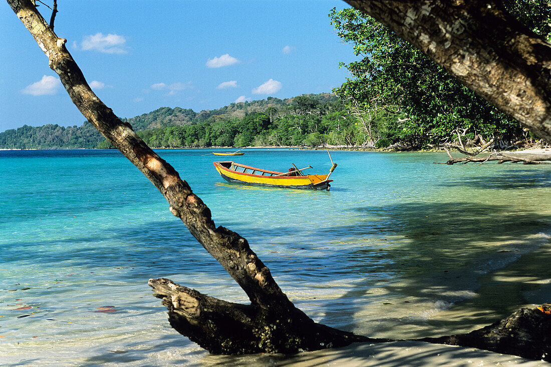 Regenwald und Strand mit Booten, Elephant Beach, Havelock Island, Andamanen, Indien