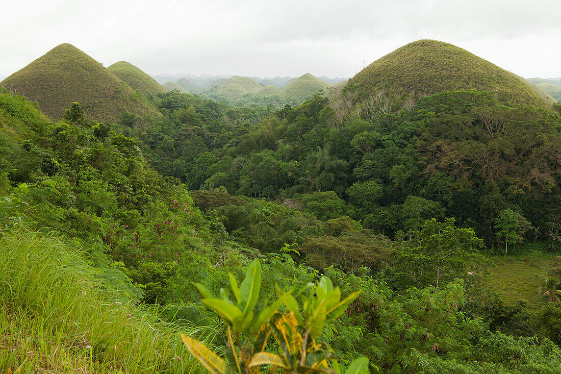 Chocolate Hills, Insel Bohol, Visayas-Gruppe im Inselstaat der Philippinen, Asien