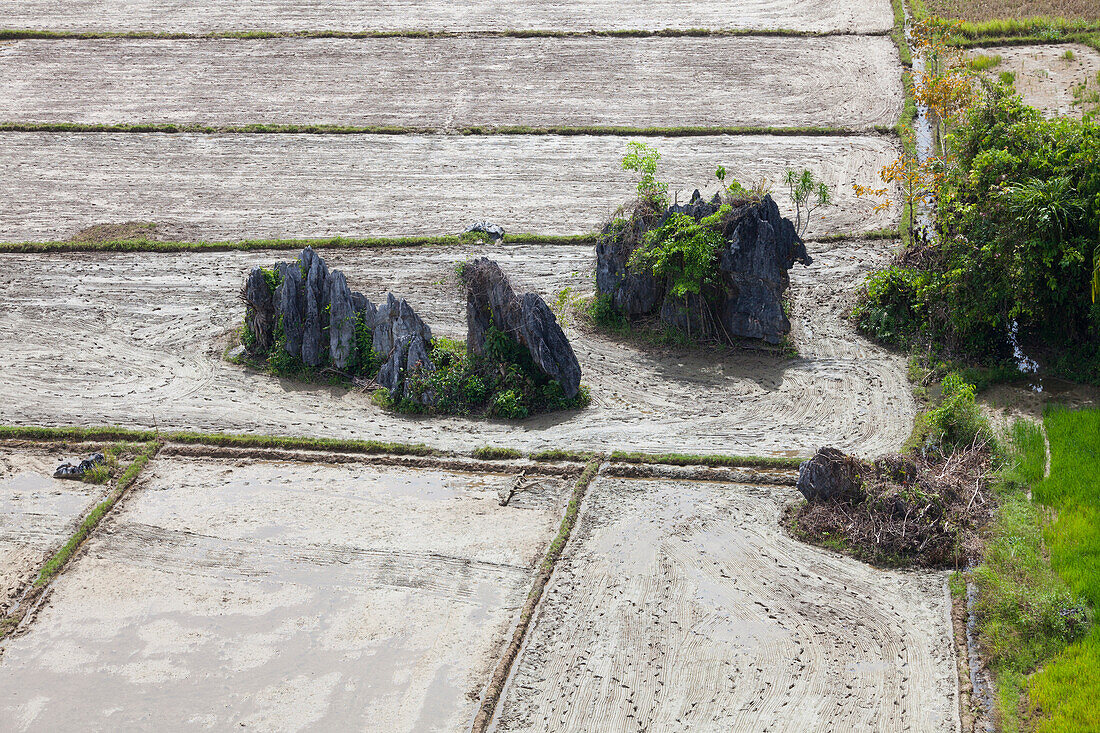 Felsen auf Feldern an der Westkueste der Insel Palawan im Inselstaat der Philippinen, Asien