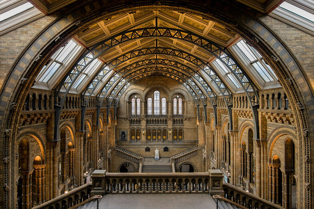 Interior view of the Natural History Museum, South Kensington, London, England, United Kingdom