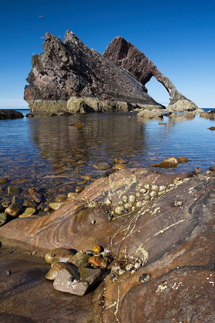 Bow Fiddle Rock, Portknockie, Moray, Scotland, United Kingdom