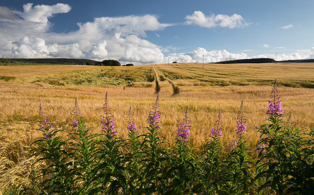 Portknockie, Moray, Scotland, United Kingdom