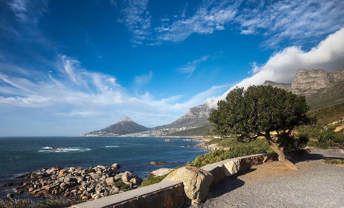 Signal Hill, Tablemountain National Park, Cape town, Western cape, South Africa
