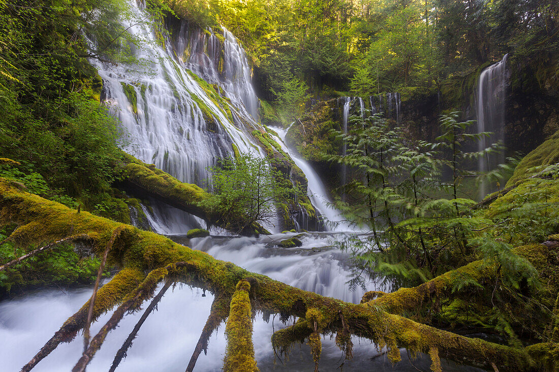 Panther Creek, Gifford Pinchot National Forest, Skamania County, Washington, USA