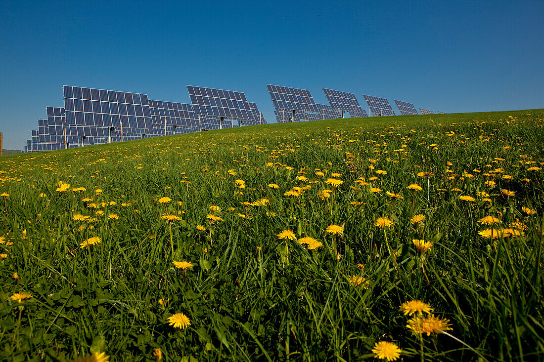 Solar park with dandelion meadow in summer, Lieschensruh, Edertal, Hesse, Germany, Europe