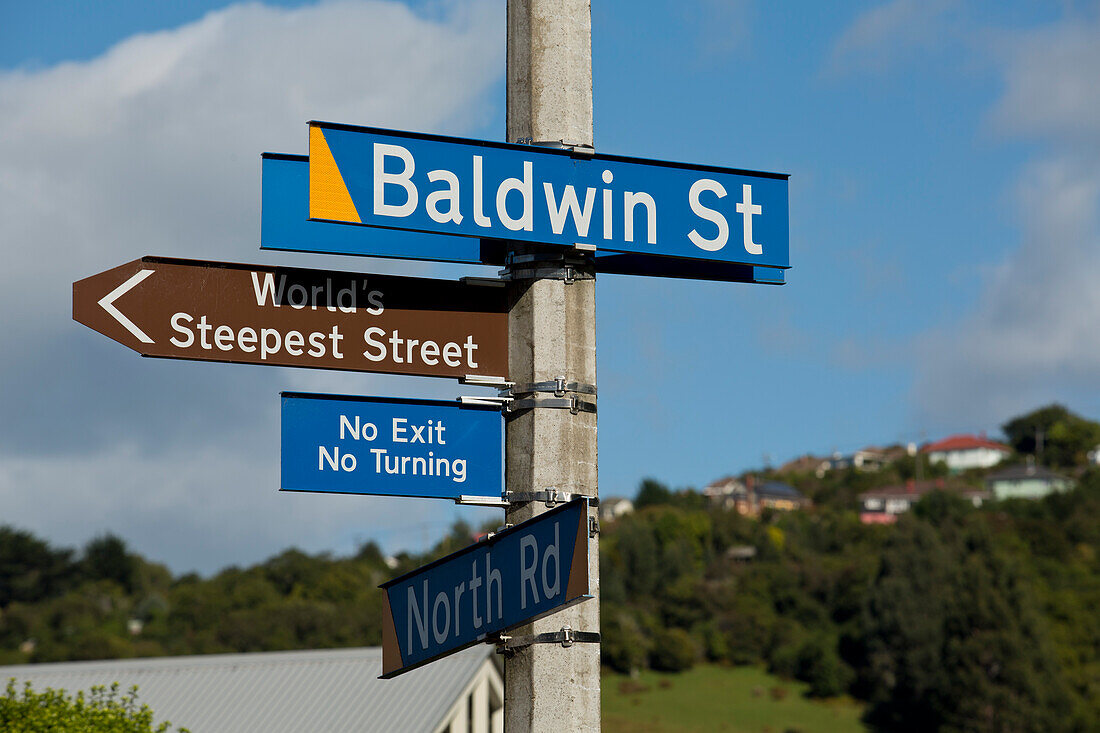 Baldwin Street is the world's steepest street, Dunedin, Otago, South Island, New Zealand