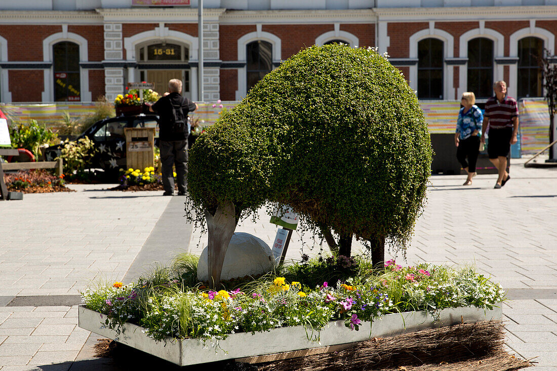 Statue eines Kiwi / Schnepfenstrauß aus Pflanzen aufgestellt auf dem Cathedral Square, Christchurch, Südinsel, Neuseeland