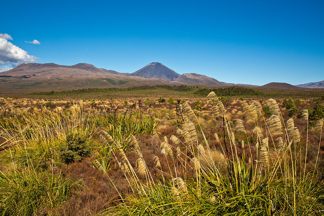 Landschaft des Tongariro Nationalpark mit Blick auf den aktiven Vulkan Ngauruhoe, Tongariro National Park, Nordinsel, Neuseeland