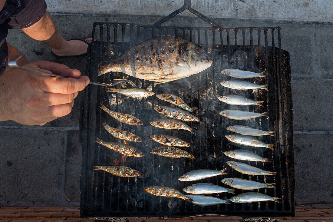 Fischgrill am Kai, Sardinen und Dorade, fangfrisch, Insel Pellestrina, Lagune von Venedig, Pelestrina, Italien