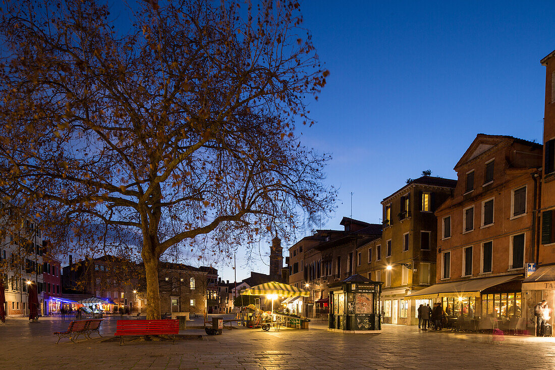 Campo Santa Margherita, evening light, large square, tree, lights, restaurants, Venice, Italy