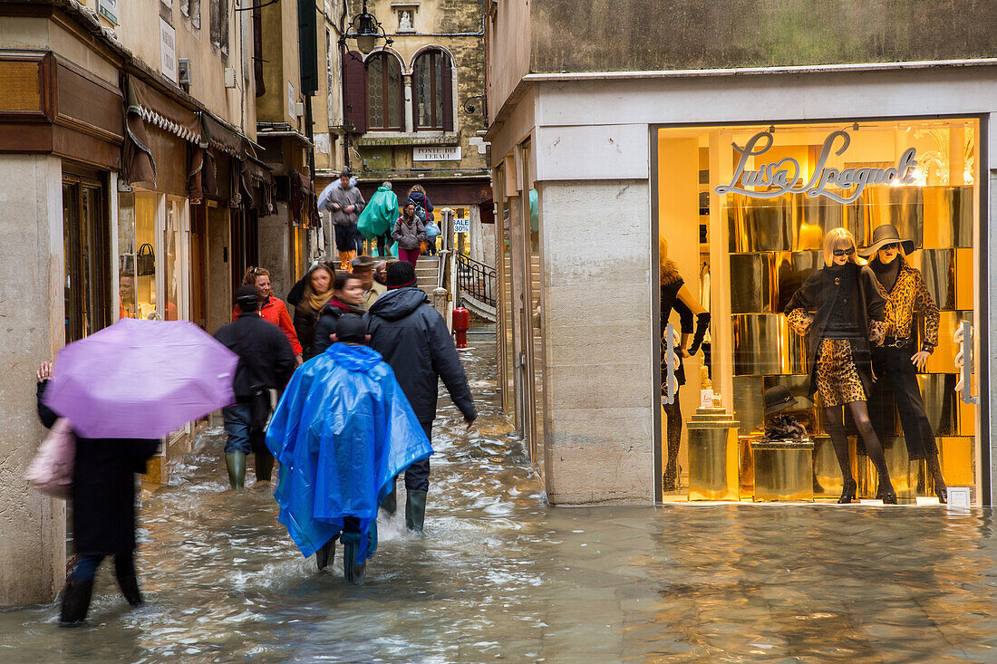 Tourists with umbrellas and plastic covered shoes, rubber boots,  Acqua alta,  fashion shop near  St Mark's Square, San Marco, high water caused by Sirocco wind and full moon, rain in Venice, Italy