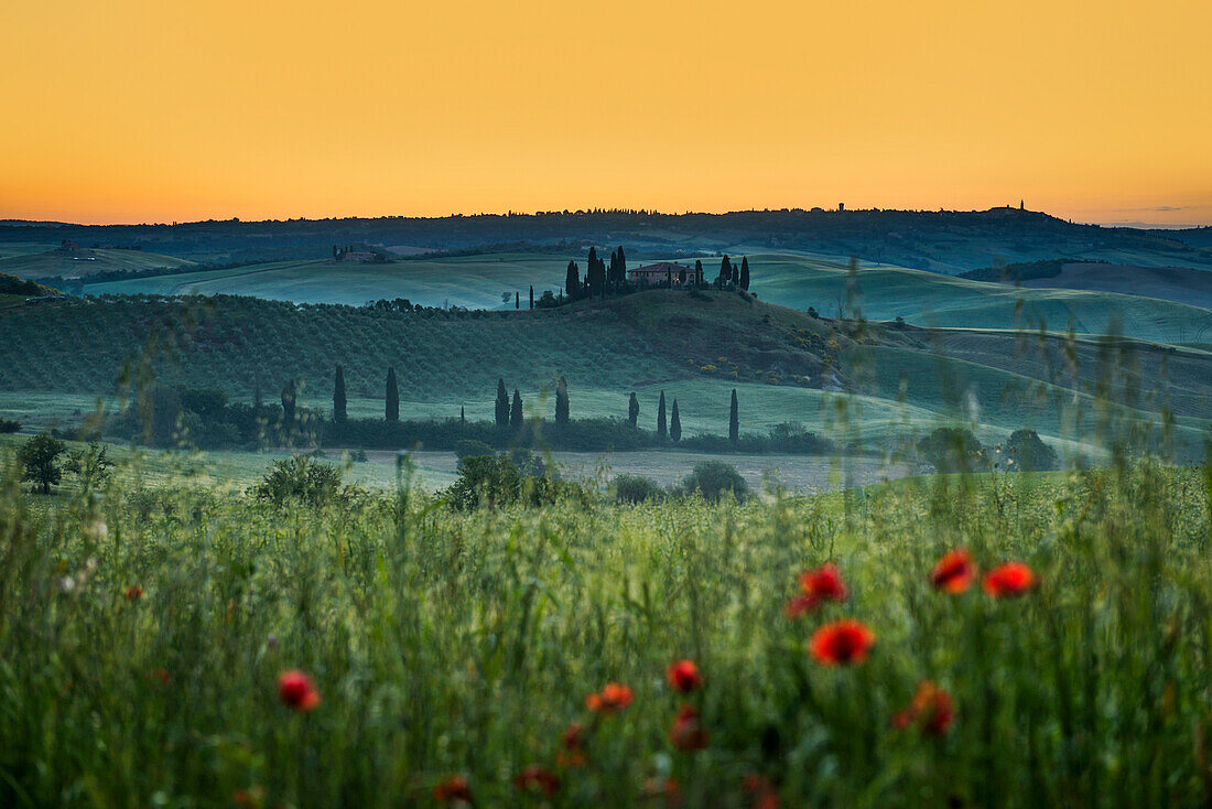 Landschaft bei San Quirico d'Orcia, Val d'Orcia, Provinz Siena, Toskana, Italien, UNESCO Welterbe