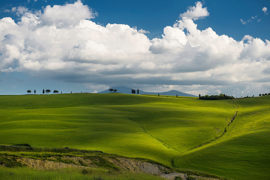 landscape near San Quirico d`Orcia, Val d`Orcia, province of Siena, Tuscany, Italy, UNESCO World Heritage