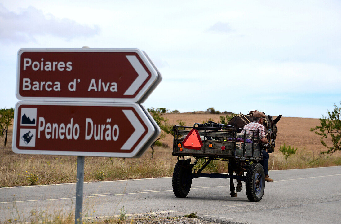 Man and donkey cart, im Parque Natural do Duoro International, Tras-os-Montes, Northeast-Portugal, Portugal