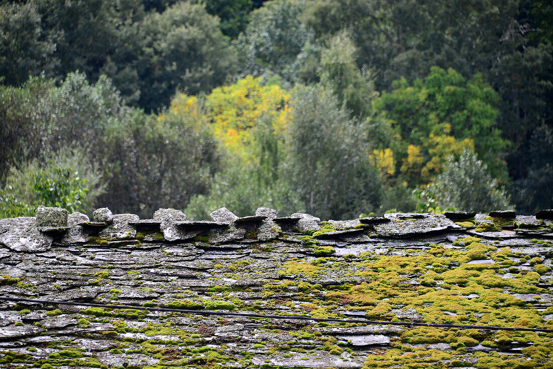 Slate roof in Parque Natural Montesinho bei Braganca, Tras-os-Montes, Northeast-Portugal, Portugal