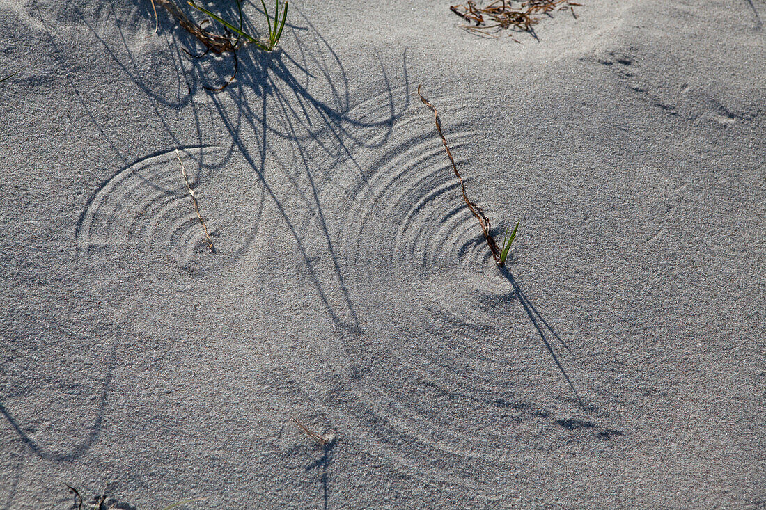 Structure in the sand, Baltic Sea coast, Mecklenburg Vorpommern, Germany