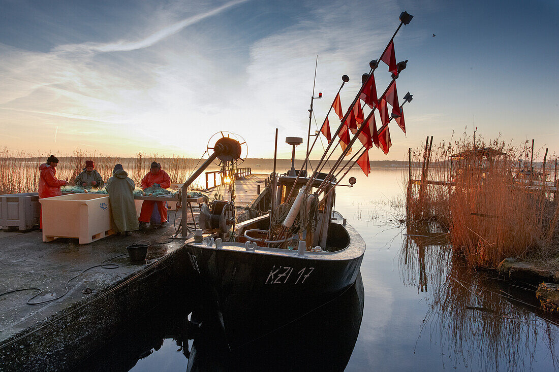 Fischer im Hafen von Klein Zicker, Biosphärenreservat Süd-Ost Rügen, Mönchgut, Insel Rügen, Mecklenburg Vorpommern, Deutschland