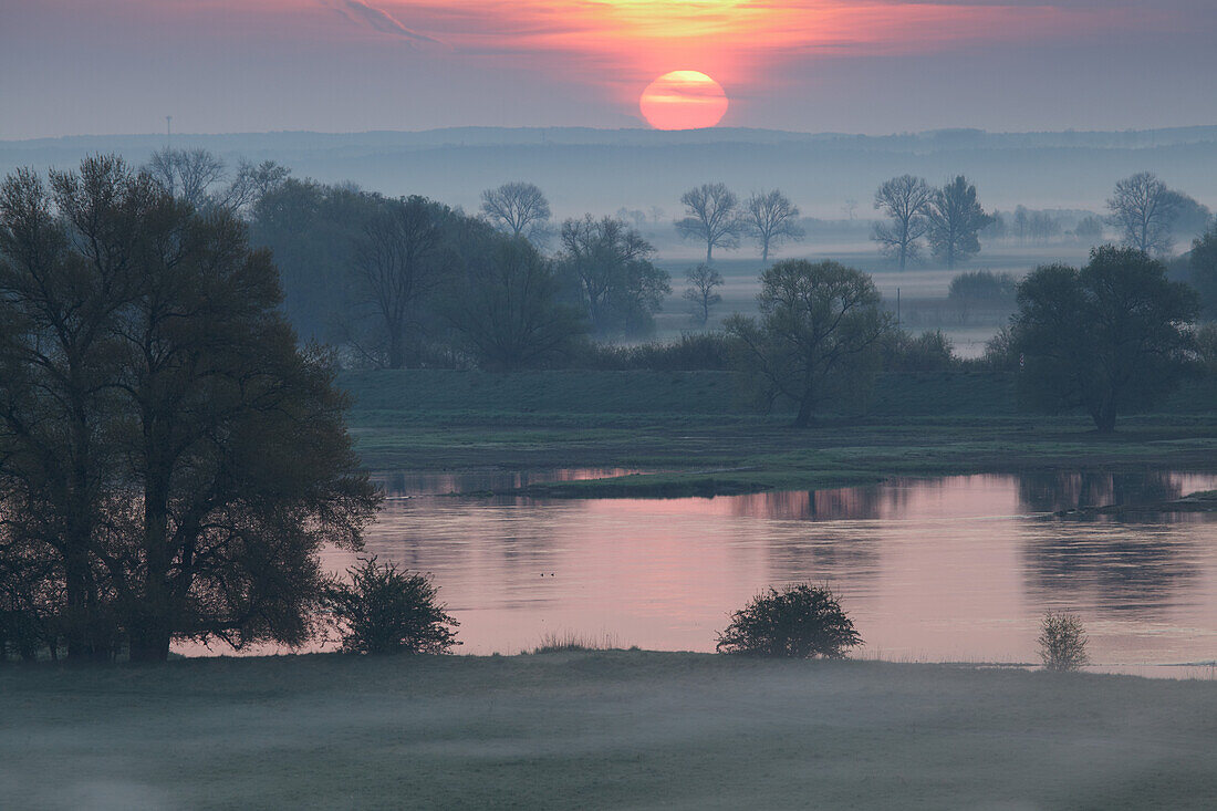 Sunrise at the river Oder, Lebus north of Frankfurt/Oder, Brandenburg, Germany