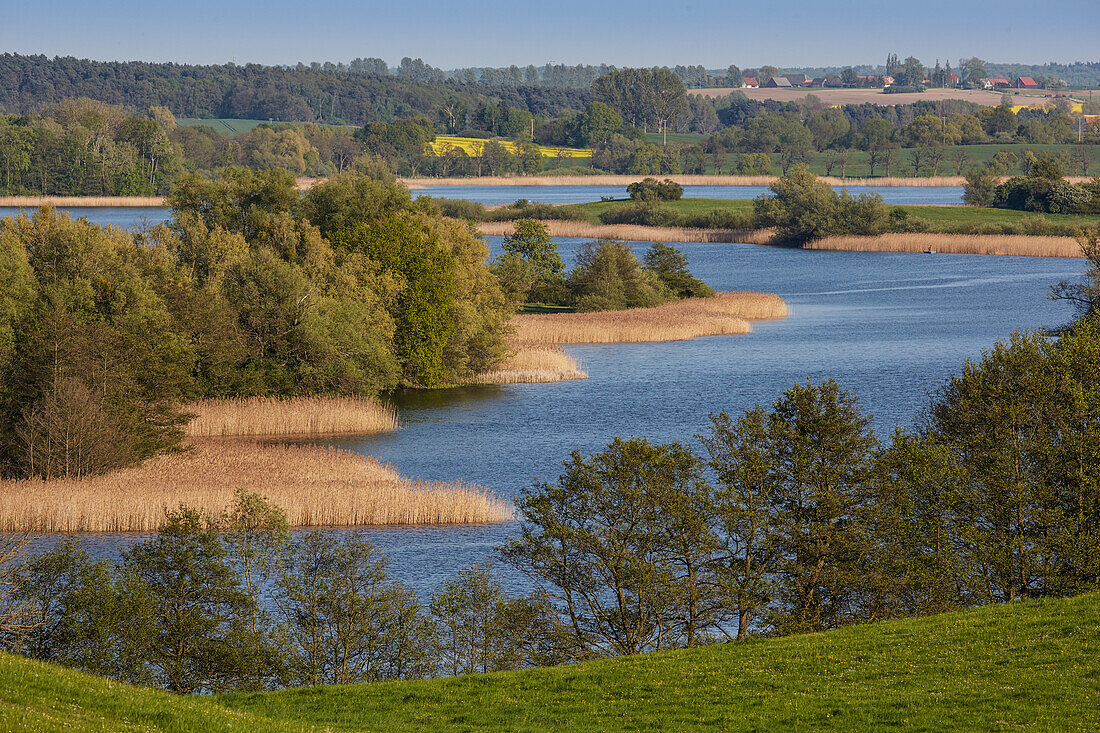 Lake Wanzkaer See, Mecklenburgische Seenplatte, Mecklenburg Vorpommern, Germany