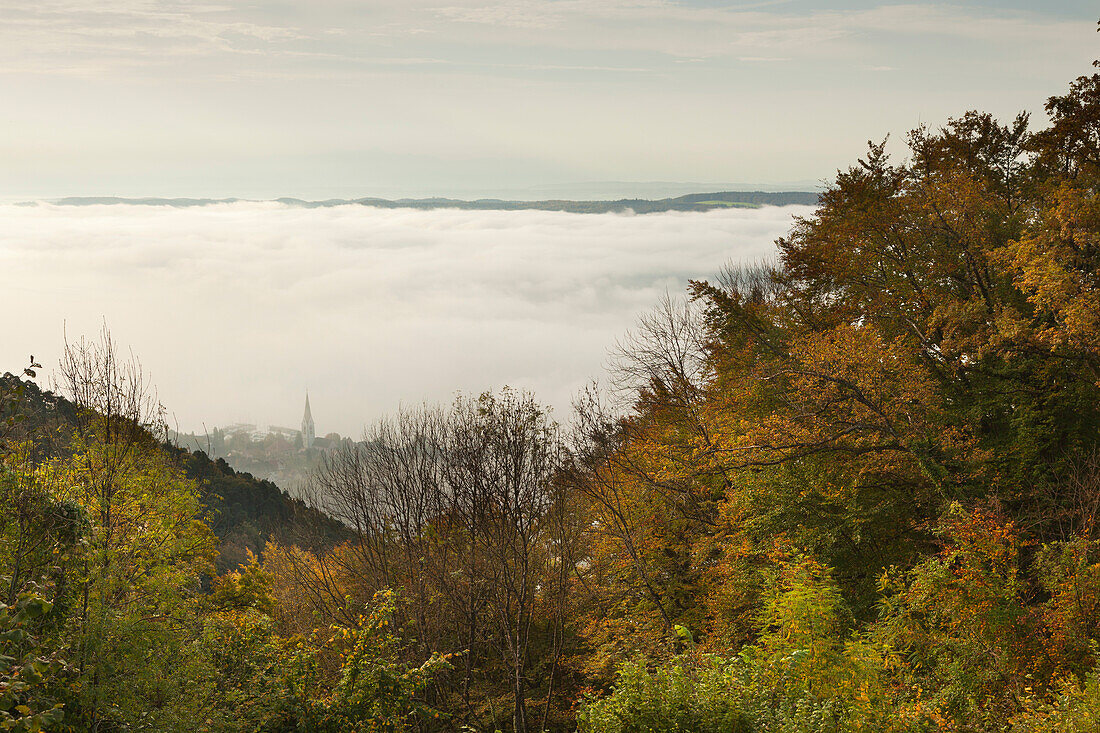 Nebel über dem Bodensee, Blick auf Sipplingen, Bodensee, Baden-Württemberg, Deutschland