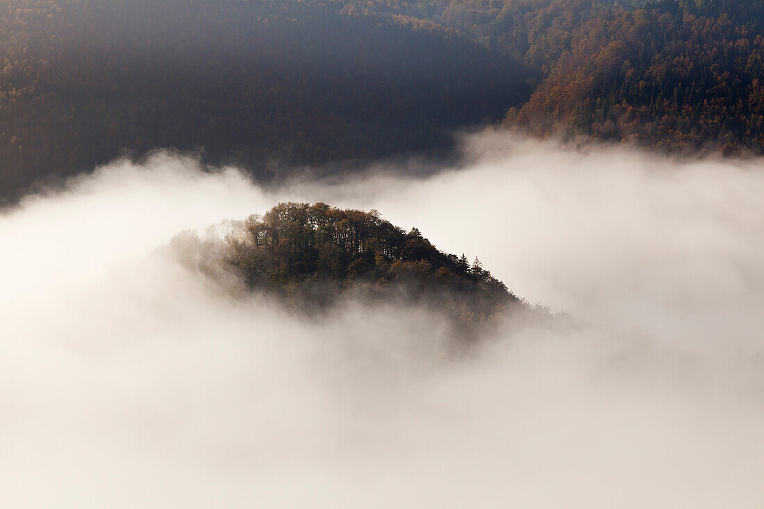 Wooded rocky hilltop sticking out of the mist in the valley of the Danube river, Upper Danube Nature Park, Baden-Wuerttemberg, Germany