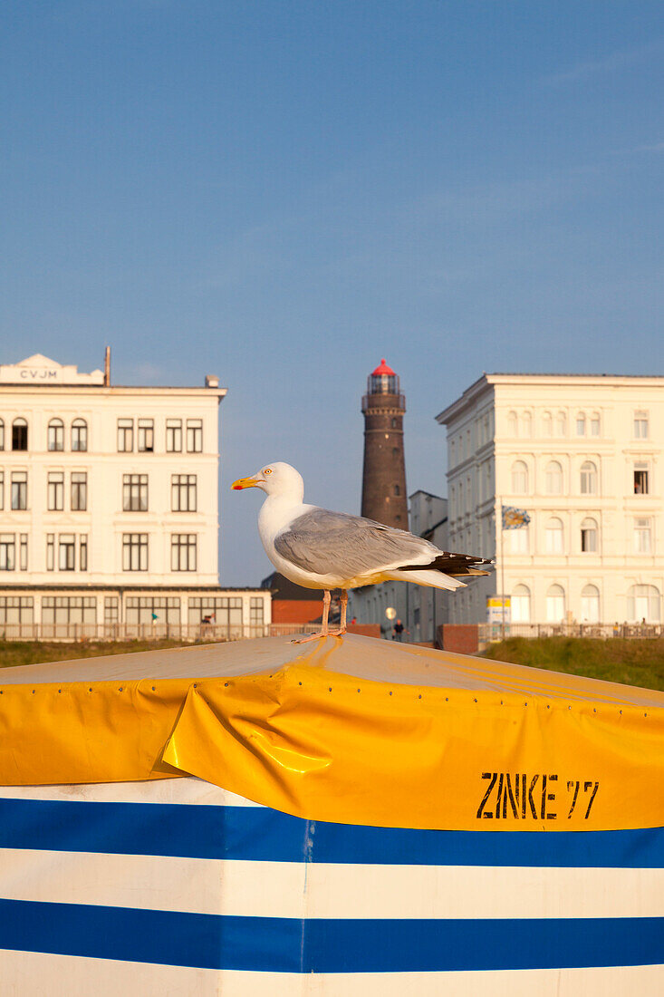 Seagull on a beach chair, lighthouse in the background, Borkum, Ostfriesland, Lower Saxony, Germany