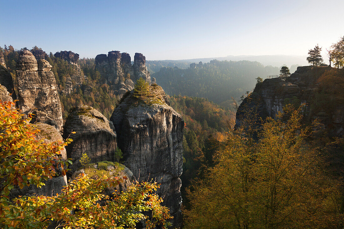 Blick zu den Gansfelsen an der Bastei, Nationalpark Sächsische Schweiz, Elbsandsteingebirge, Sachsen, Deutschland