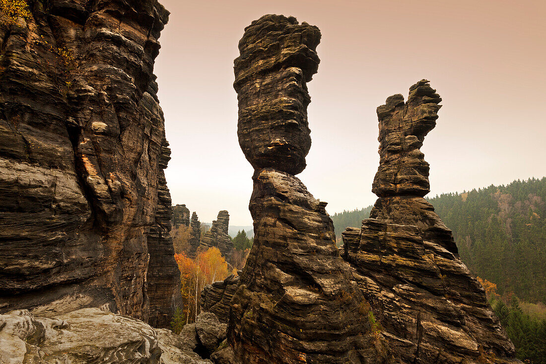 Herkulessäulen im Bielatal, Nationalpark Sächsische Schweiz, Elbsandsteingebirge, Sachsen, Deutschland