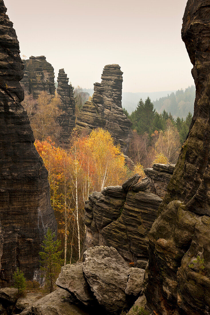 Schiefer Turm im Bielatal, Nationalpark Sächsische Schweiz, Elbsandsteingebirge, Sachsen, Deutschland