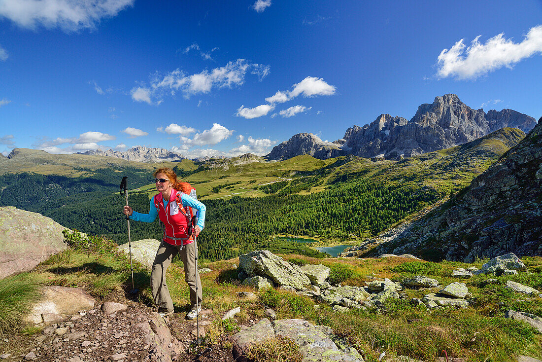 Frau wandert auf Weg hoch über Lago Colbricon mit Pala im Hintergrund, Trans-Lagorai, Lagorai-Höhenweg, Lagorai, Dolomiten, UNESCO Welterbe Dolomiten, Trentino, Italien