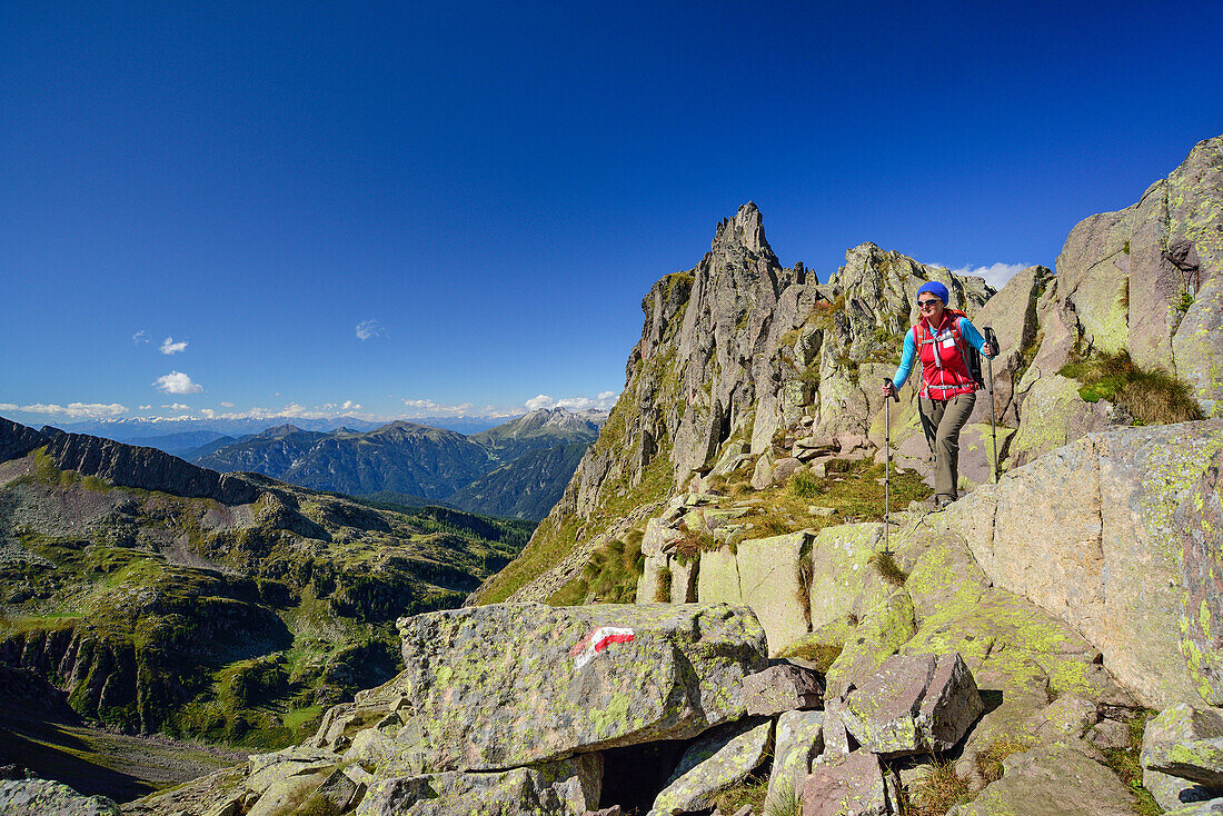Frau wandert auf Weg mit Latemar-Gruppe im Hintergrund, Trans-Lagorai, Lagorai-Höhenweg, Lagorai, Dolomiten, UNESCO Welterbe Dolomiten, Trentino, Italien