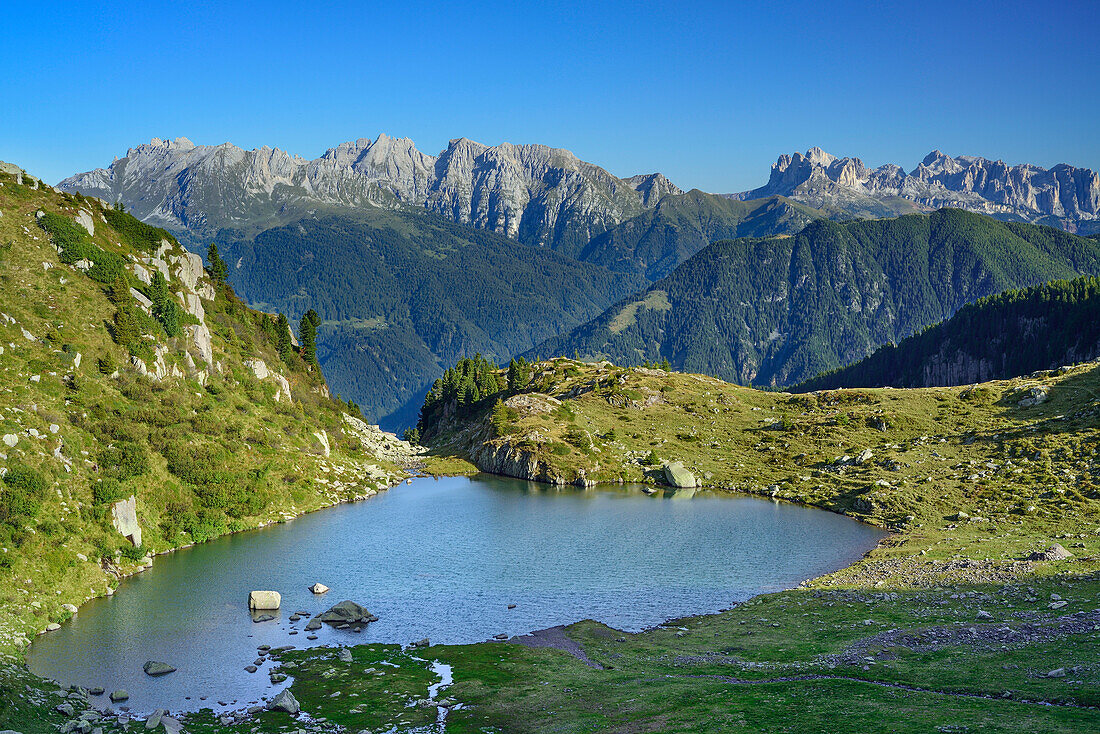 Bergsee Lago delle Trote mit Latemargruppe und Rosengarten im Hintergrund, Lago delle Trote, Trans-Lagorai, Lagorai-Höhenweg, Lagorai, Dolomiten, UNESCO Welterbe Dolomiten, Trentino, Italien