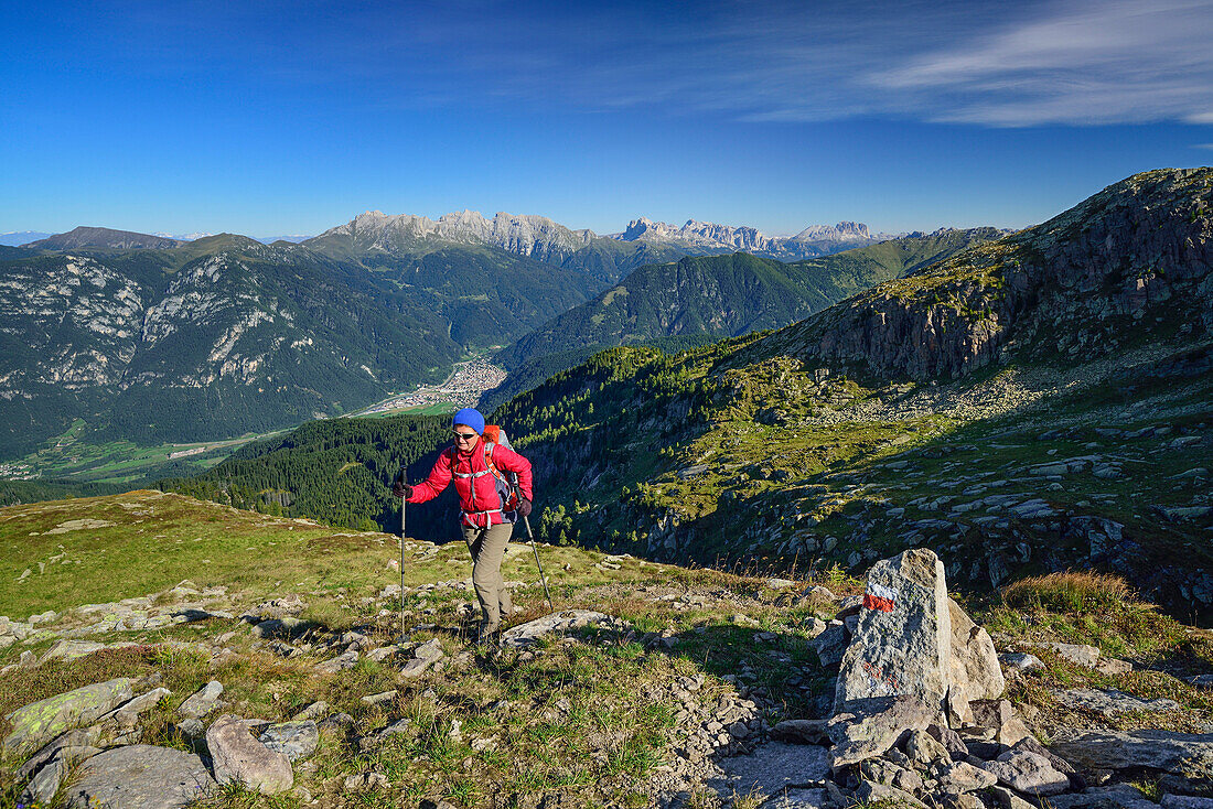 Woman hiking with view to Latemar range, Rosengarten, Langkofel and valley of Predazzo, Trans-Lagorai, Lagorai range, Dolomites, UNESCO World Heritage Site Dolomites, Trentino, Italy